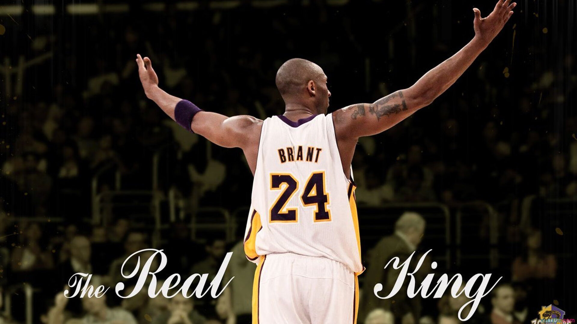 绝境重生，格纳布里以双响与一记绝杀，背负荷兰完成对旧我的颠覆