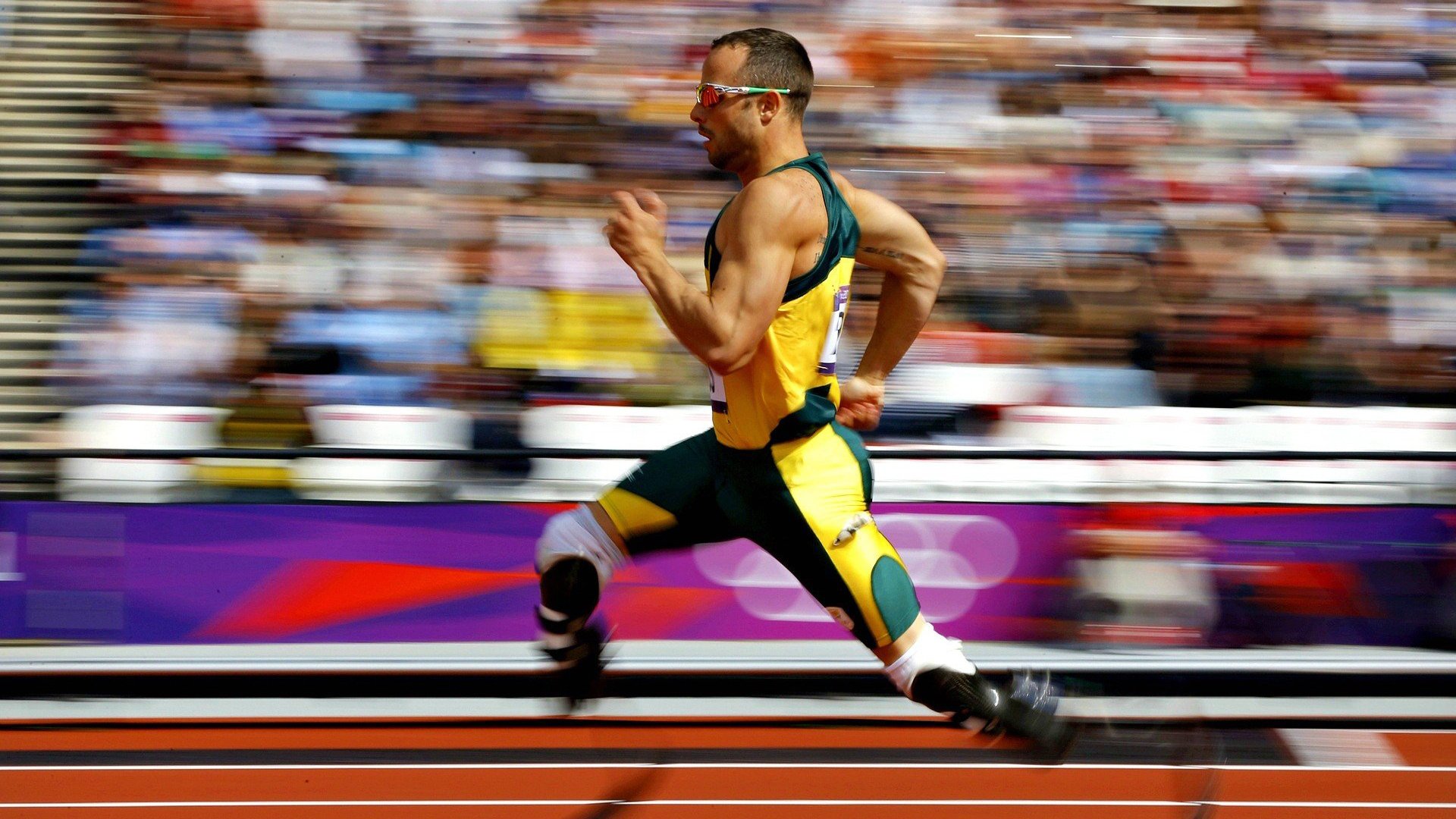 葡萄牙队三球逆转韩国队,波尔状态火热主导反攻